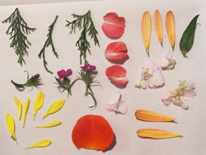 How To Dry Flowers With Parchment Paper - Resin Obsession