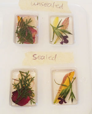 dried flowers in casting resin charms 