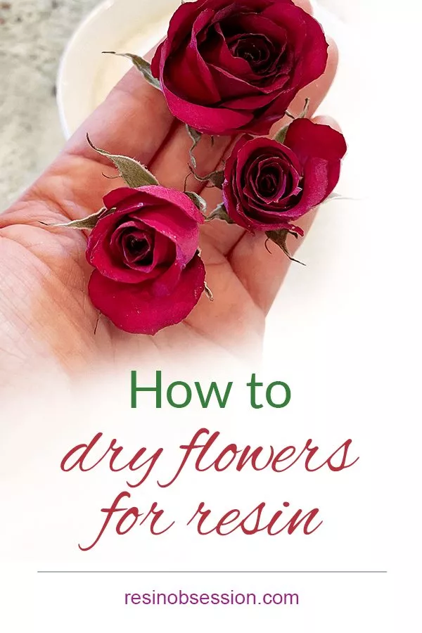 How to Dry flowers for RESIN Art? 