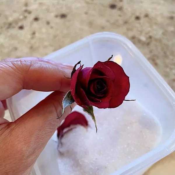 UV Safe Stemmed Rose Silicone Mold for UV or Epoxy Resin Art