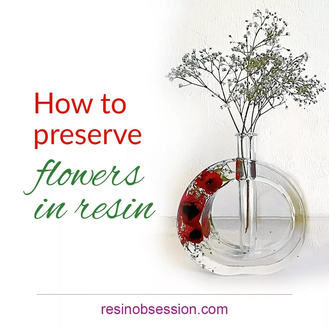 How Do You Preserve Flowers? Beginner flower preservation kit in